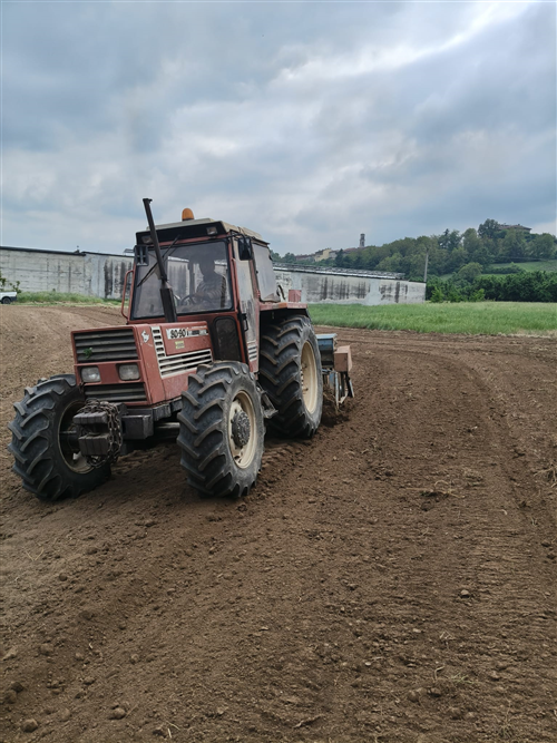 Avvio ufficiale del progetto +Api 2026